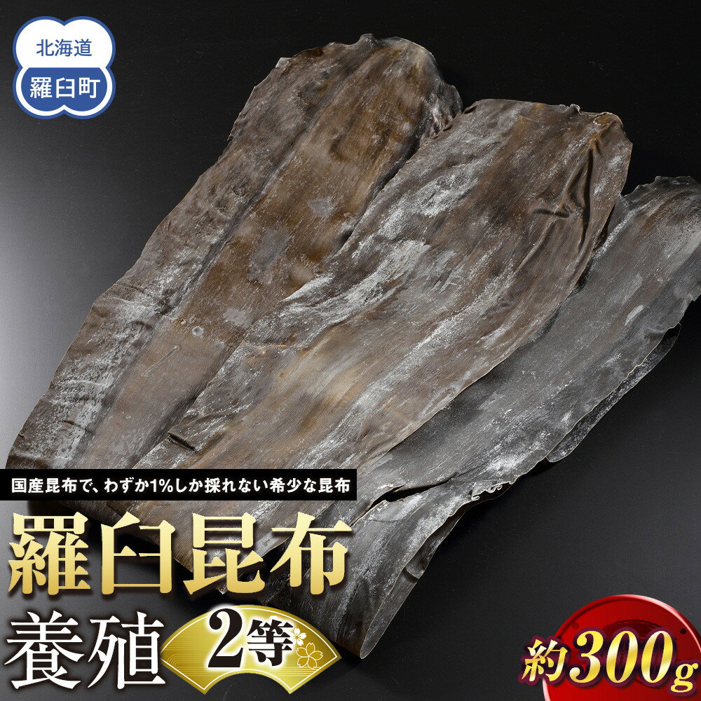 【ふるさと納税】羅臼昆布 養殖 2等 約300gセット 北海道 知床 羅臼産 生産者 支援 応援
