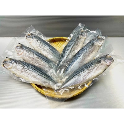 勝浦松田商店の灰干しさば(ノルウェー産)　Mサイズ(約210g)　6枚入　真空包装【配送不可地域：離島】【1486091】