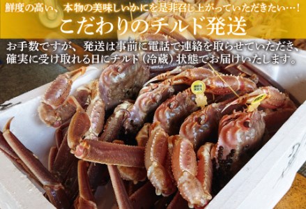 【産地直送】先行予約！　福井冬の味覚！越前がに（900～1kg）× 3杯　2024年11月15日以降発送