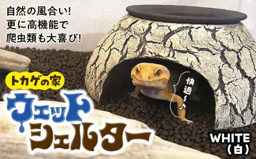 ウェットシェルター 爬虫類 |トカゲ レオパードゲッコー レオパ フトアゴ イモリ カエル ヘビ ペット 爬虫類用 シェルター 保湿 陶器 家 カビ抑制 隠れ家 おしゃれ おうち デザイン とかげの家  飼育 作家 アーティスト 飼育用品 ギフト 作品 手づくり 陶芸家 とかげ 脱皮 インテリア オブジェ 観察 自然 飼育品 ナチュラル セキグチ タカヒト 埼玉県北本市