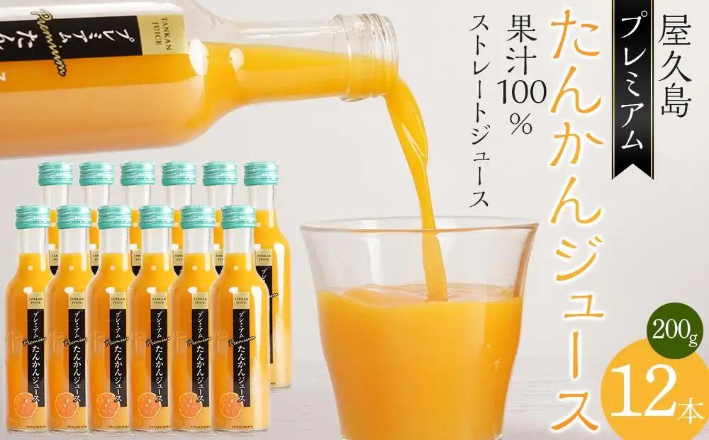 屋久島プレミアムたんかんジュース 200g×12本＜果汁100%ストレートジュース＞ | ストレートジュース ストレートジュース