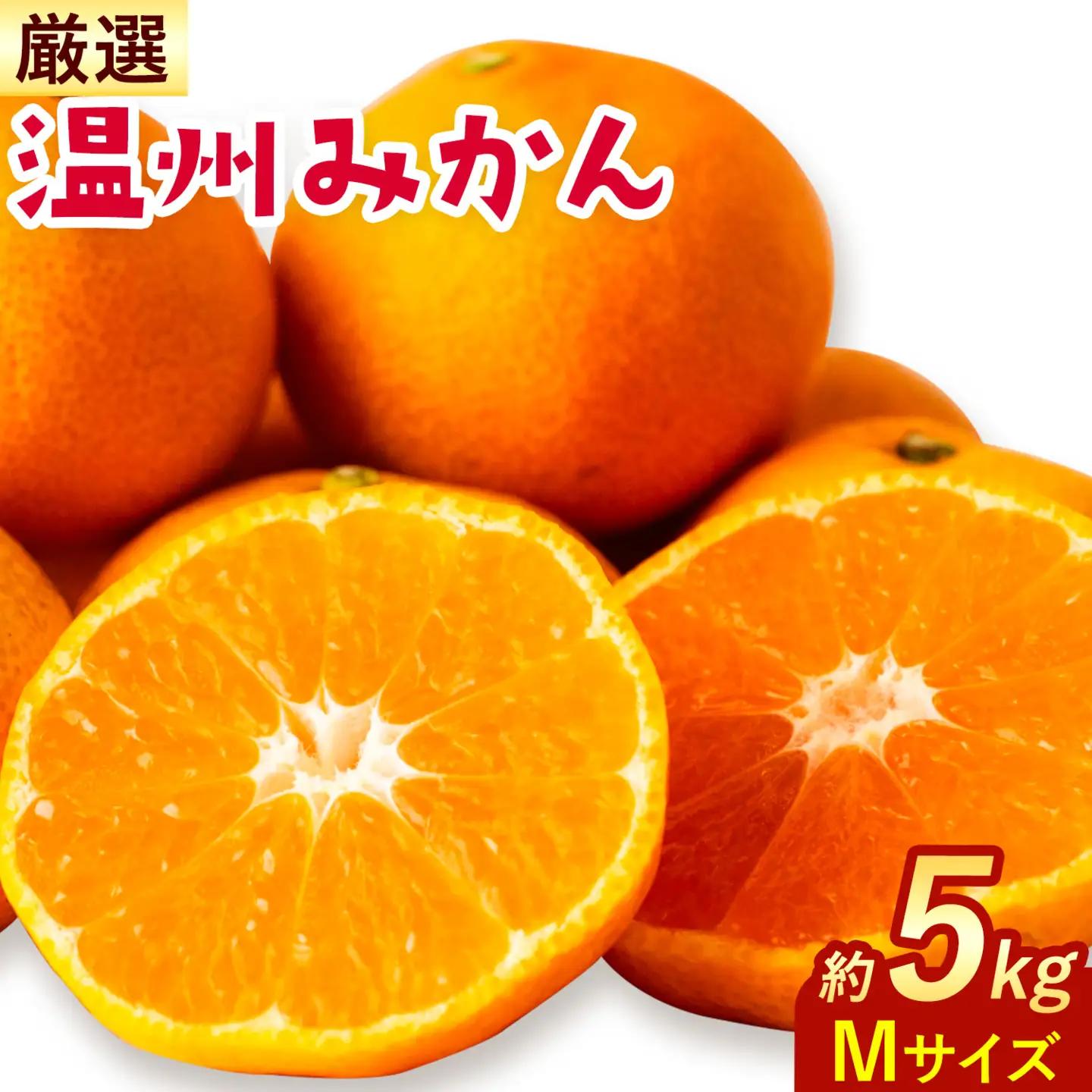 温州みかん 厳選 5kg M サイズ みかん