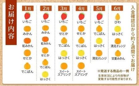 丸亀讃果 フルーツ詰め合わせ 季節のフルーツ 果物