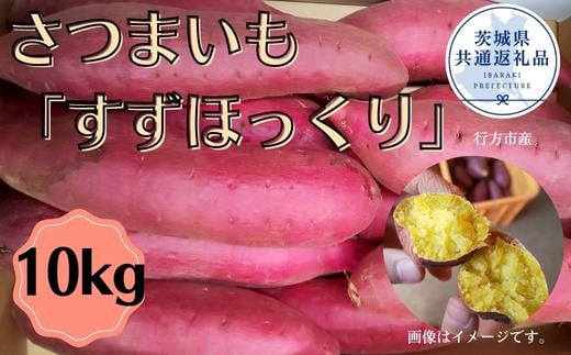 さつまいも「すずほっくり」約10kg（2025年産）（茨城県共通返礼品・行方市産） ／ さつまいも さつま芋 サツマイモ 薩摩芋 甘薯 すずほっくり 10kg 野菜 茨城県 送料無料