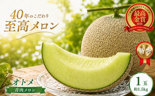 オトメ メロン 1玉(約1.5kg) | 2027年 先行予約 メロン 完熟 果物 フルーツ ギフト  デザート  栃木県 真岡市 送料無料