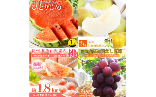 【全4回】紀州和歌山産旬のフルーツ定期便 (スイカ・桃・巨峰・梨)  / すいか スイカ もも 桃 白桃 巨峰  葡萄 ぶどう なし 梨 ナシ 洋ナシ 和梨  果物 くだもの フルーツ フルーツ定期便 和歌山【tkb422】