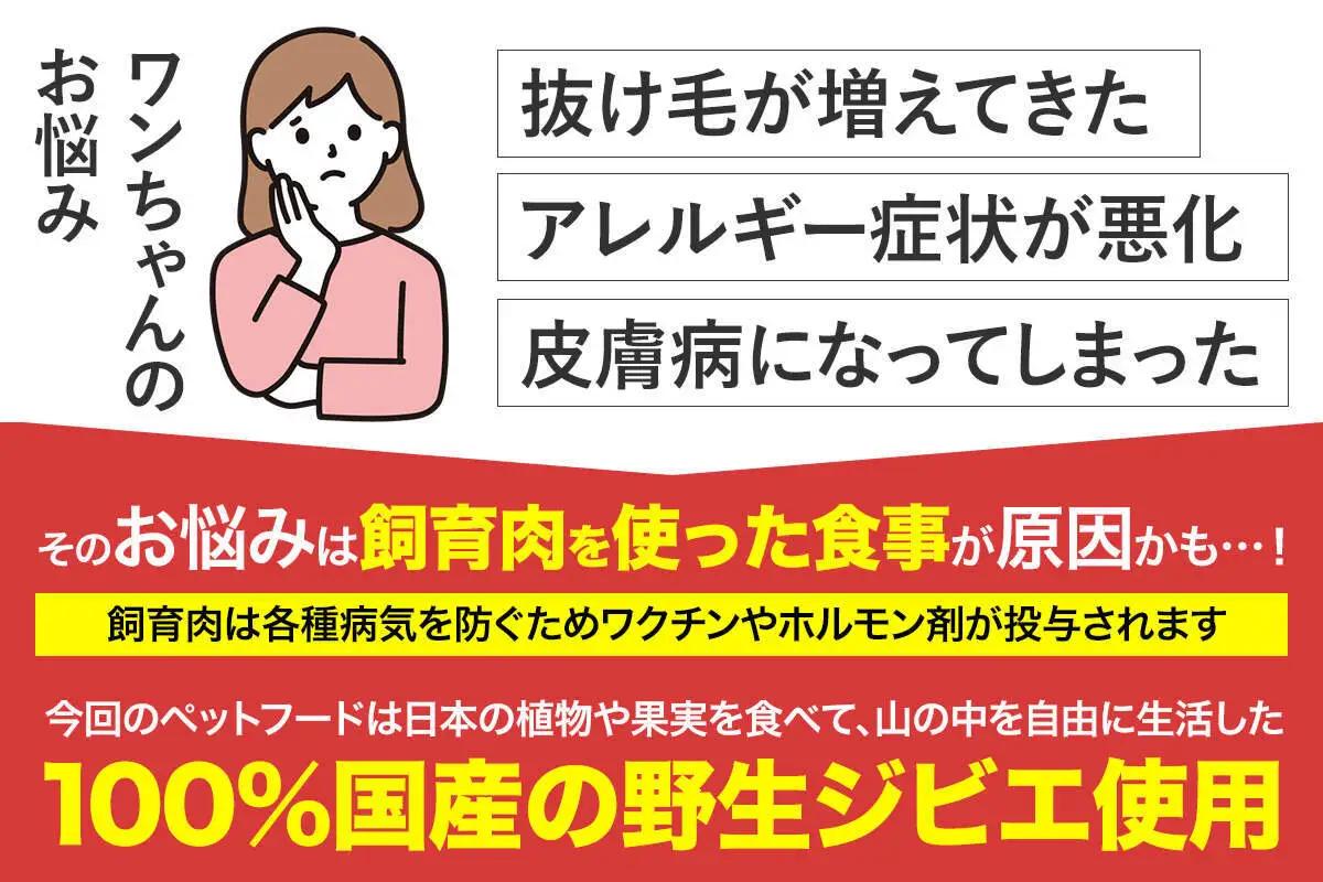 ハンタージビエ・ワンモ お試し3包×3セット HNNT001