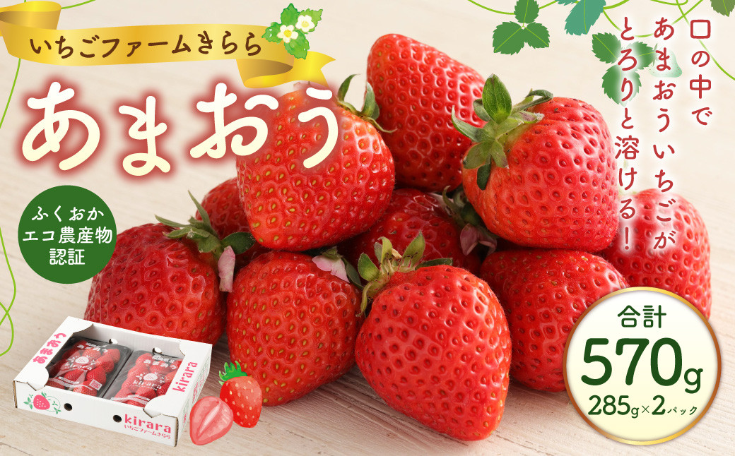 
                  あまおう 約570g 約285g×2パック いちごファームきらら いちご イチゴ 苺【ふくおかエコ農産物認証】【2027年2月上旬-3月下旬発送予定】
                