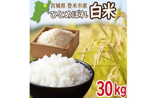 ＜先行予約！2025年9月末より順次発送予定＞≪令和7年産・新米≫ 宮城県登米市産 ひとめぼれ 30kg 精米 お米 おこめ 米 コメ 白米 ご飯 ごはん おにぎり お弁当 ブランド米【有限会社伊豆沼農産】tm407