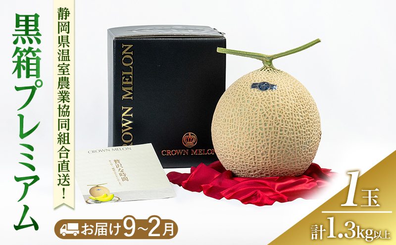 黒箱プレミアム (冬9～2月) 果物 メロン 青肉 フルーツ デザート 高級メロン ブランドメロン 袋井市 静岡県