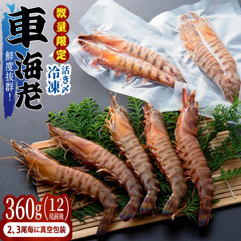 【ふるさと納税】 数量限定 鮮度抜群！活き〆冷凍 車海老 360g