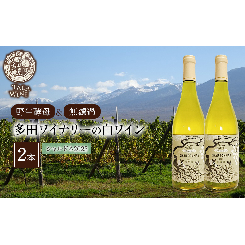 【野生酵母＆無濾過】多田ワイナリーの白ワイン 《シャルドネ》2本 お酒 アルコール ミネラル感 ミディアムボディー 爽や 厚み 晩酌 家飲み 宅飲み 