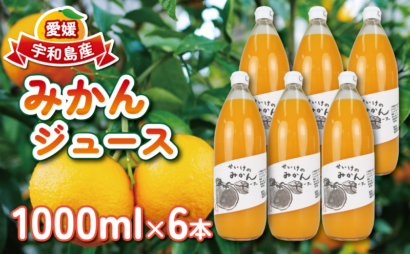 みかん ジュース 1,000ml×6本 清家 100％ ストレート 温州みかん みかんジュース 果汁 飲料 果物 フルーツ  ギフト プレゼント 国産 愛媛 宇和島 H036-170002