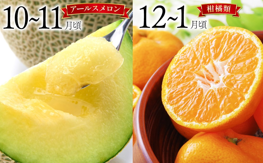 【6回定期便 Bコース】フルーツ定期便 旬のフルーツセット / いちご ビワ スイカ ぶどう アールスメロン 柑橘類 南島原市 / 長崎県農産品流通合同会社 [SCB066]