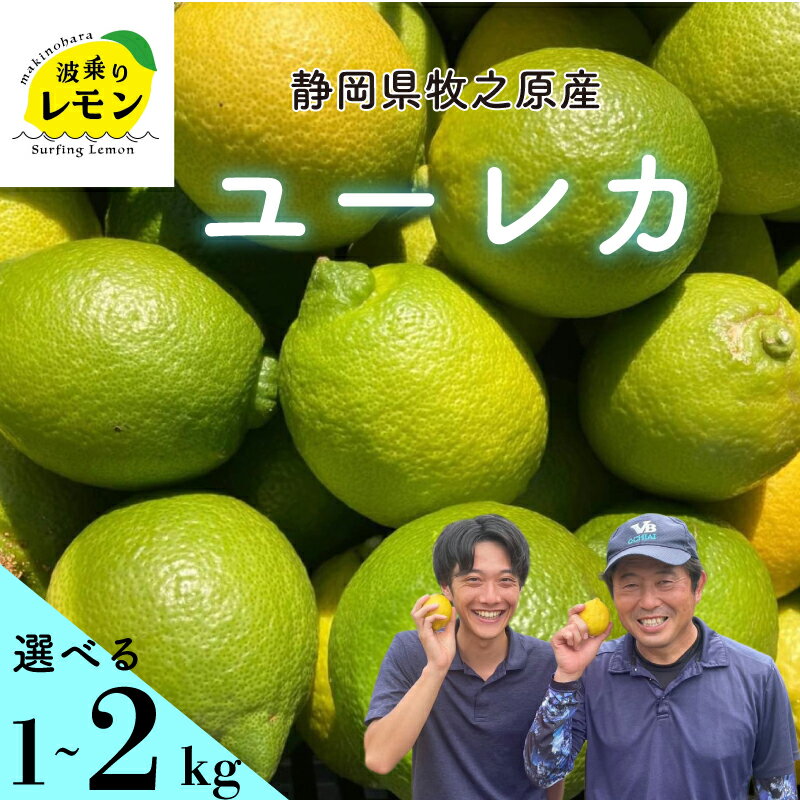 【ふるさと納税】 事前受付 牧之原産 波乗りレモン ユーレカ ゆーれか 1~2kg 国産 Lemon 檸檬 柑橘類 柑橘 フルーツ 果物 酸っぱい 果肉 酸味 防腐剤不使用 静岡県 牧之原市