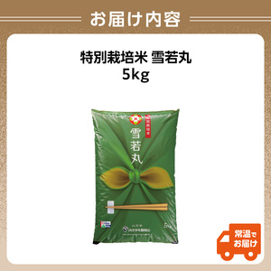 【令和6年度産米】新米 特別栽培米 雪若丸 5kg【山形県産 特別栽培米】【2024年度産米】 001-067
