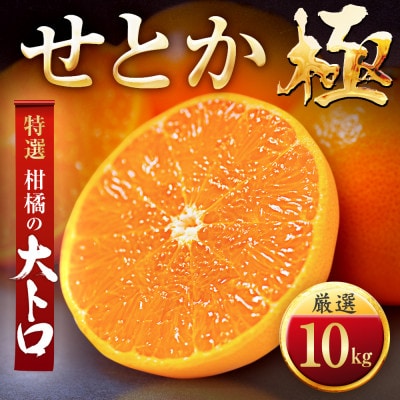 「夕やけブランド」柑橘の大トロ!【せとか】10kg【H49−68】【1509771】