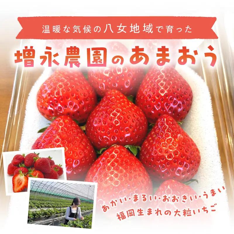 【増永農園】 あまおう 270g×2パック 【2027年1月より順次発送】 ジューシー フレッシュ 苺 果物 くだもの スイーツ作り 数量限定 イチゴ 期間限定 美味しい いちご 福岡県 八女市 19