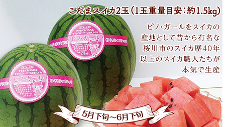 【 定期便 】【 2024年9月から発送開始 全4回 】 数量限定 フルーツ定期便 贅沢 フルーツ 満喫コース 旬 旬の果実 旬のフルーツ くだもの 果実 トマト フルーツトマト スイカ いちご メロ