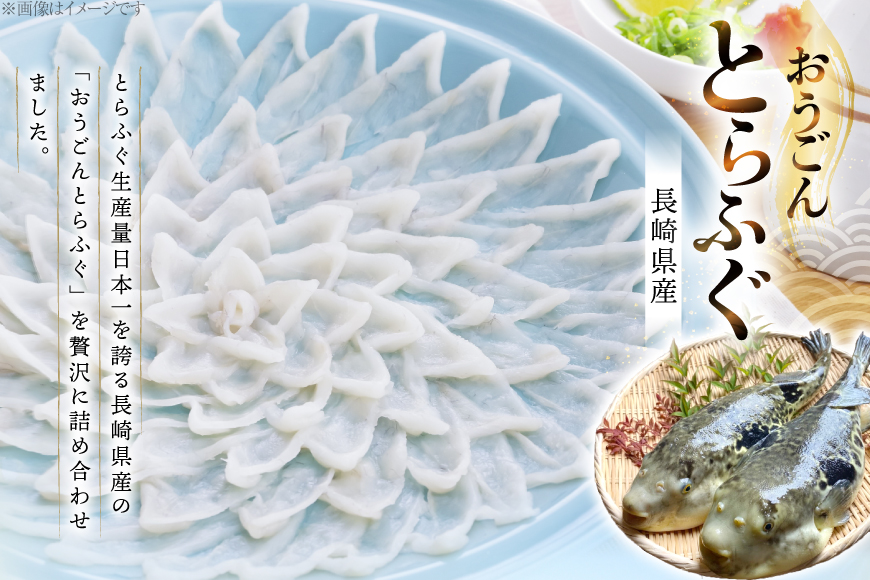 ふぐ 刺身 ふぐ鍋セット 活〆 おうごんとらふぐ 贅沢セット 4人前 6回 定期便 [松永水産 長崎県 平戸市 hr42bgy400073] ふぐ刺し とらふぐ フグ 河豚 てっさ てっちり ふぐ鍋 