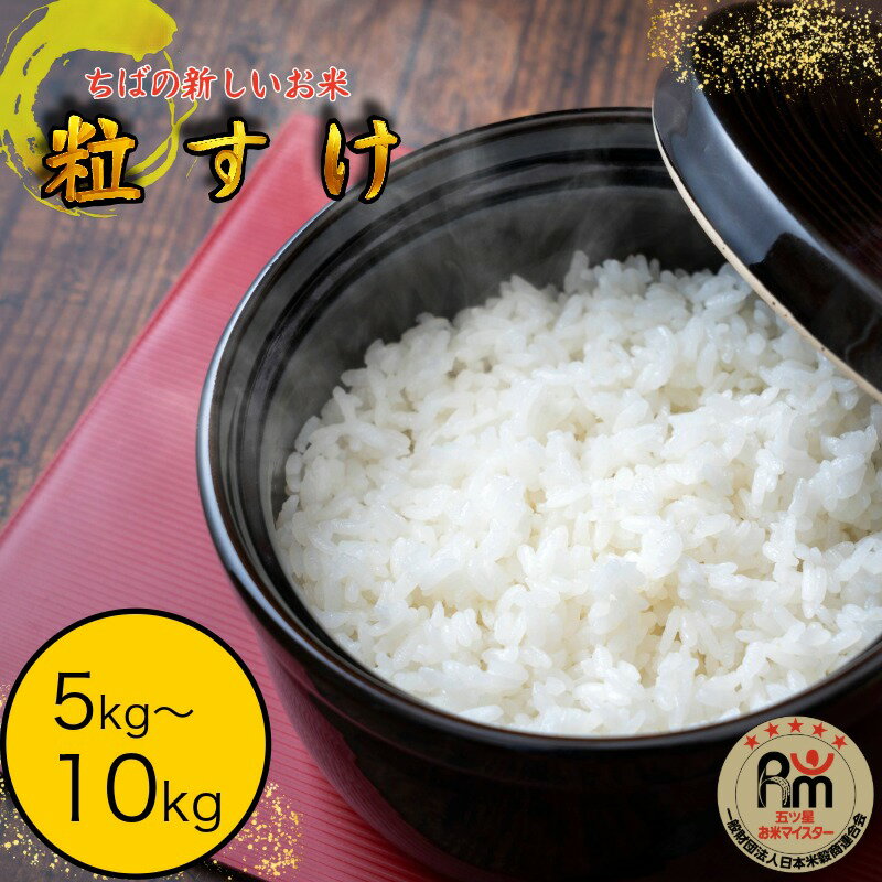 【ふるさと納税】 米 粒すけ 5kg / 10kg お米 精米 こめ ご飯 ごはん 白米 玄米 ブランド 美味しい 人気 おすすめ ふるさと ふるさと納税 送料無料 国産 千葉県 銚子市 根本商店