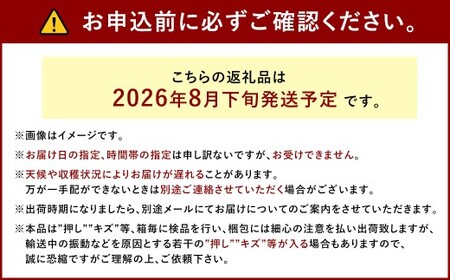ぶどう 2026年 先行予約 ニュー ピオーネ 3～4房 合計2kg以上 ブドウ 葡萄  岡山県産 国産 フルーツ 果物 ギフト 河本農園 【2026年8月下旬発送予定】