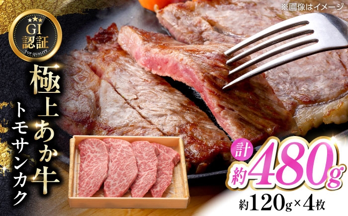 
                  【GI認証】くまもとあか牛トモサンカク 約120g×4枚 和牛 熊本県 【有限会社 三協畜産】あか牛 牛肉 トモサンカク 肉 熊本 特産品 [AYCQ013]
                