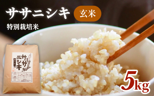 特別栽培米 ササニシキ 玄米 5kg