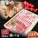 【ふるさと納税】【 訳あり 】【6回 定期便 】 長崎 うずしおポーク バラ （ 焼肉 用）1.4kg＜スーパーウエスト＞ [CAG114] 長崎 西海 豚 ブタ 豚肉 バラ 便利 料理 やわらか ジューシー 上品 ブランド豚 焼き肉 焼肉 BBQ