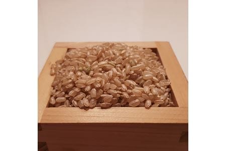 【令和7年度産】《新米》【11月下旬より順次発送予定】色彩選別加工済大和米 奈良県広陵町ヒノヒカリ玄米20kg /// ひのひかり ヒノヒカリ ブランド米 玄米 ご飯 お米 大和米 おにぎり おむすび