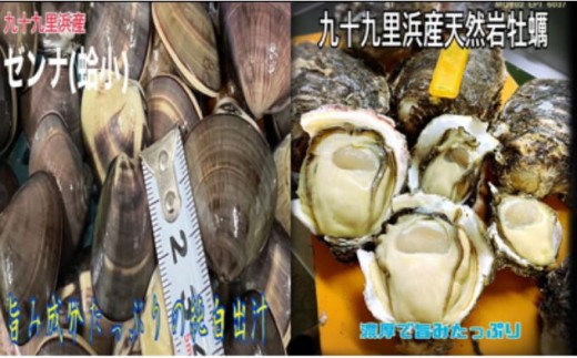 
                  期間限定品純白出汁の天然”ゼンナ”とうま味が濃い天然岩牡蠣セット各3kg　合計6kg 魚貝類 海の幸 海鮮 貝 天然はまぐり 直送 生牡蠣 九十九里浜産 
                