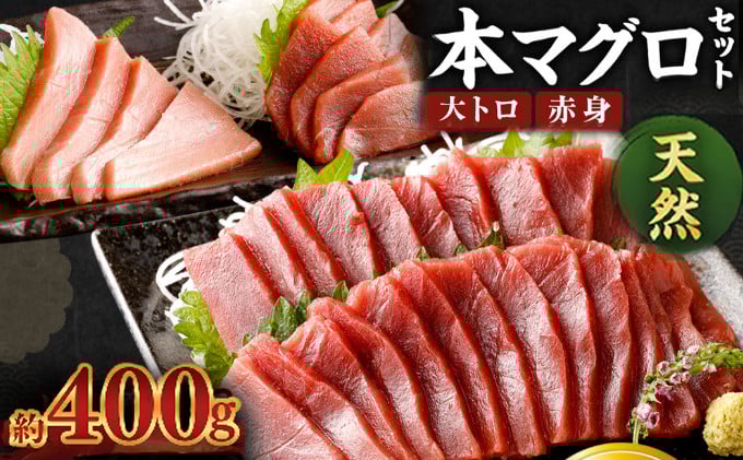 
            厳選天然本マグロ大トロ・赤身食べきりセット【約４００ｇ】まぐろ 海鮮 冷凍 刺身 鮪 父の日 高知県 室戸市 さしみ マグロ 
          