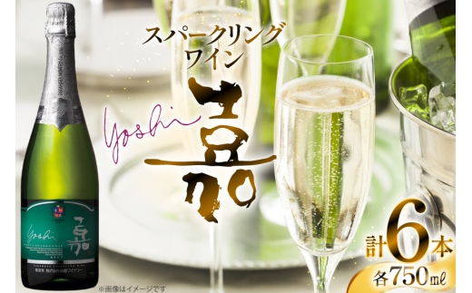 スパークリング 嘉 スパークリングワイン ピノ・シャルドネ 750ml 6本 [高畠ワイナリー 山形県 高畠町 tk06ays730119] 高畠ワイナリー ワイン お酒 酒