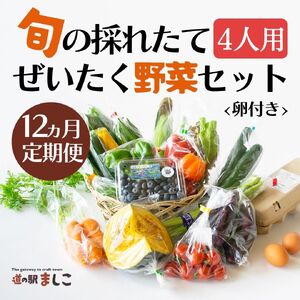 野菜 定期便 卵付き 旬の野菜セット 4人用 【12回】 益子町 AA036