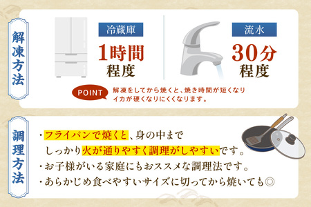 スルメイカ一夜干し（200g×4袋） 計800g イカ 干物 【005_0133】