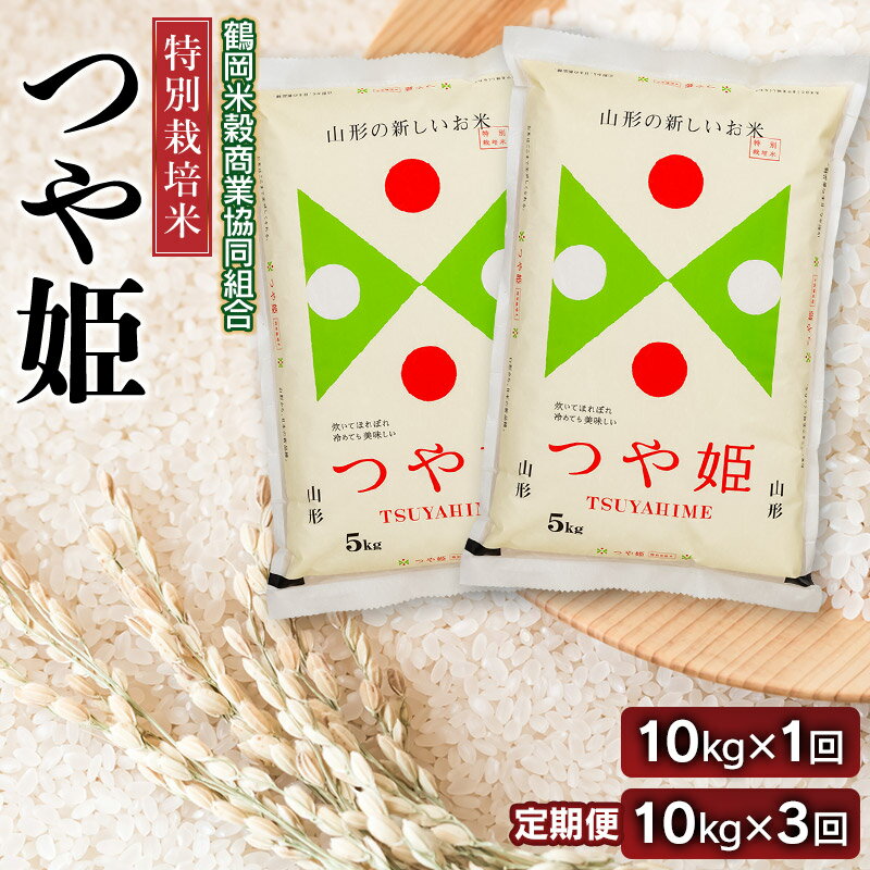 【ふるさと納税】【令和7年産】特別栽培米 つや姫 精米 10kg(5kg×2袋)［1回発送 or 3ヶ月定期便］　山形県庄内産　鶴岡米穀商業協同組合