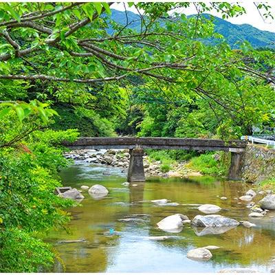 ふるさと納税 那珂川市 「特選ブレンドコーヒーセット」【豆のまま】計600g 自家焙煎珈琲　猫屋カフェ |  | 02