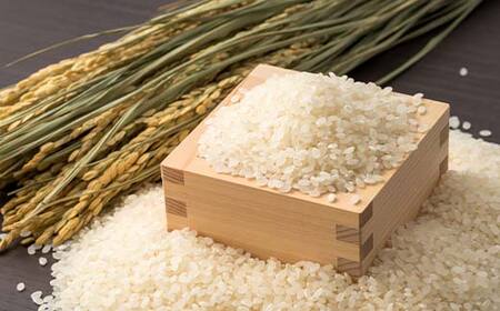 ＜定期便3ヶ月＞ 西会津産米 至福米コシヒカリ 精米 8kg  F4D-2153