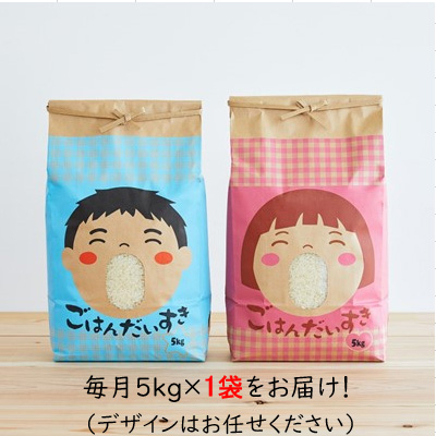 
            2022年11月発送開始『定期便』山形県産　はえぬき　5kg(5kg×1袋)全6回【5087188】
          