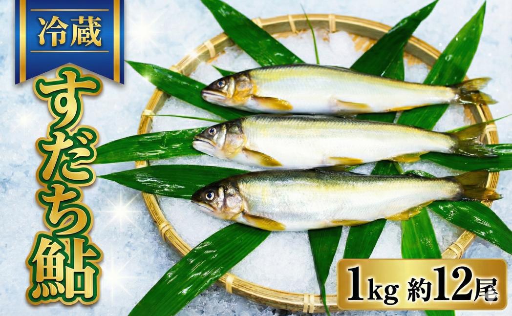 
            鮎 すだち鮎 約12尾 1kg 5月中旬から8月末まで発送 冷蔵便 あゆ 徳島県産 こだわりの鮎 魚 川魚 塩焼き 鮎の塩焼き 甘露煮 すだち果汁 吉野川 徳島 
          