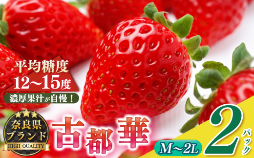 平群の古都華 サイズおまかせ（M～2Lサイズ）1ケース （2パック） |  先行予約 フルーツ 果物 くだもの ブランド いちご 苺  古都華 ことか 品種 特徴 糖度 ルビー色 旬 ふるさと納税 奈良県 平群 町