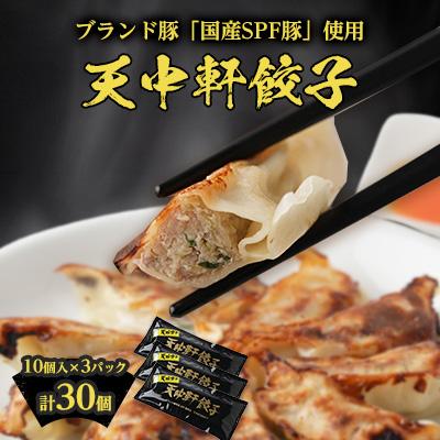 ふるさと納税 清須市 天中軒の冷凍餃子　3パック