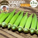 【ふるさと納税】神田野菜の絶対オススメ オクラ（ヘルシエ）1kg ( Lサイズ 50～60本 ) おくら 野菜 生野菜 やさい 水溶性 食物繊維 旬 新鮮 季節 鮮度 冷蔵 国産 福岡県 北九州市 【2024年7月上旬から12月下旬発送予定】