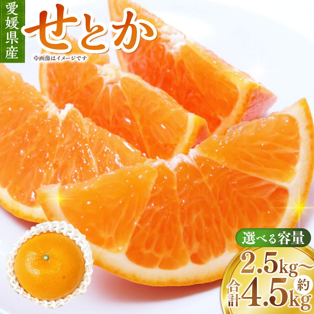 【ふるさと納税】せとか 選べる内容量 約2.5kg（8玉～15玉） / 約4.5kg（4L～L） みかん ミカン 蜜柑 柑橘 かんきつ フルーツ くだもの 果物 果実 デザート 愛媛県産 国産 愛媛県 送料無料 【2027年2月上旬～3月上旬発送予定】（1126）(1127)
