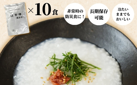 おかゆ 白がゆ 280g×10個入 長期保存 | 新潟県 お粥