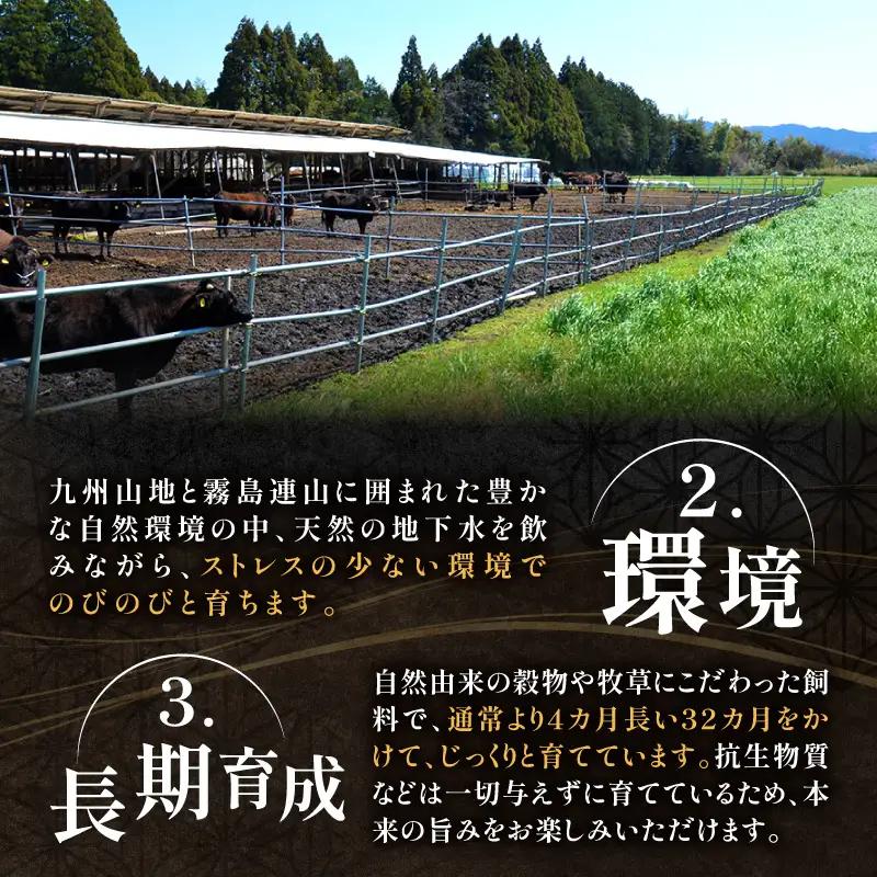 牛肉 【プレミアムシリーズ】厳選宮崎牛メス指定A5等級モモステーキ 600ｇ