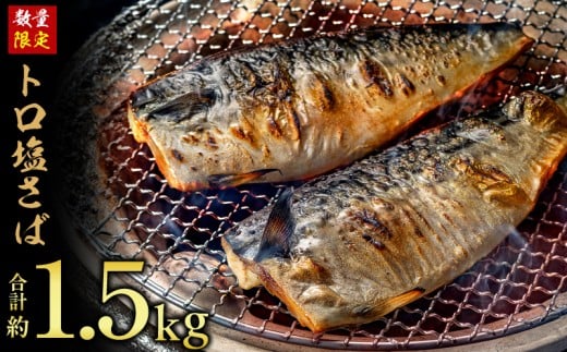 訳あり トロ 塩サバ フィレ 約1.5kg 鯖 さば 訳アリ わけあり 切り身 切身 塩さば 塩鯖 フィレ フィーレ 魚貝 魚介 人気 冷凍 冷凍食品 大容量 海鮮 家庭用 レシピ おかず おつまみ 惣菜 弁当 不揃い 規格外 傷 味噌煮 煮付け 竜田揚げ 南蛮漬け グルメ 贈答 贈物 ギフト 長期保存 小分け 炊き込み お取り寄せ ふるさと納税 ふるさと納税鯖 送料無料 千葉県 銚子市 飯田商店