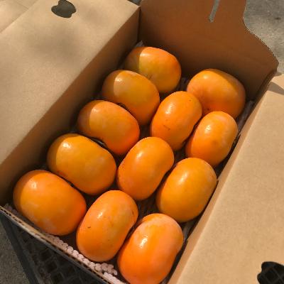 ふるさと納税 紀の川市 【2026年10月上旬以降発送】和歌山県産たねなし柿2kg(ご家庭用) |  | 01