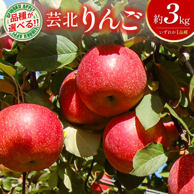 【ふるさと納税】りんご 3kg 品種が選べる 国産 農家直送 芸北りんご 林檎 つがる 秋映 シナノスイート ぐんま名月 シナノゴールド ふじ