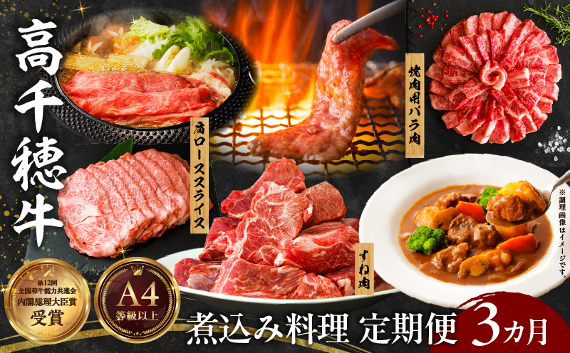【3か月定期便】高千穂牛煮込み料理3か月定期便_Tk002-t086